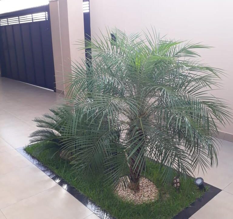 WhatsApp Image 2022-07-27 at 22.03.03