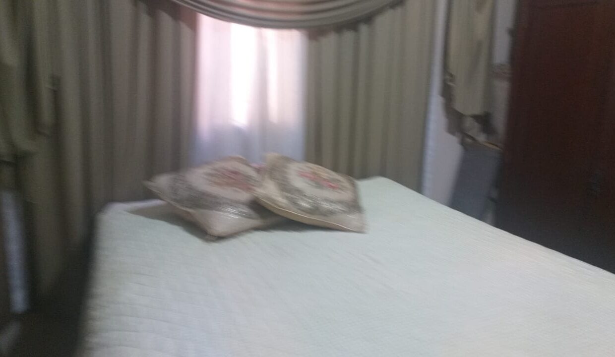 WhatsApp Image 2022-07-28 at 14.16.32